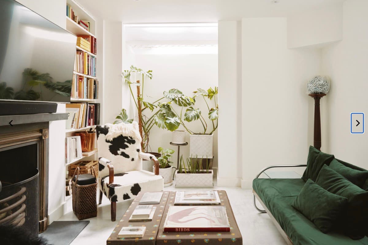 Layered London living room with plants books and original features